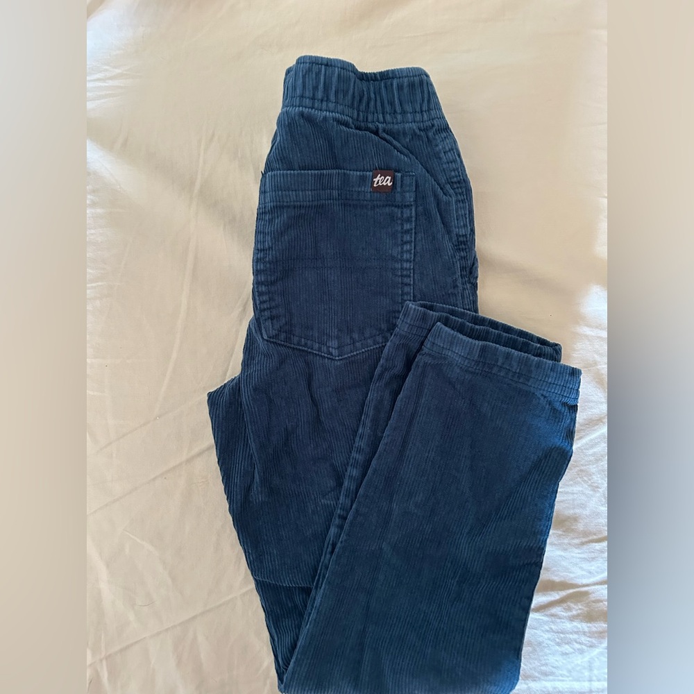 Tea Collection Blue corduroy pant